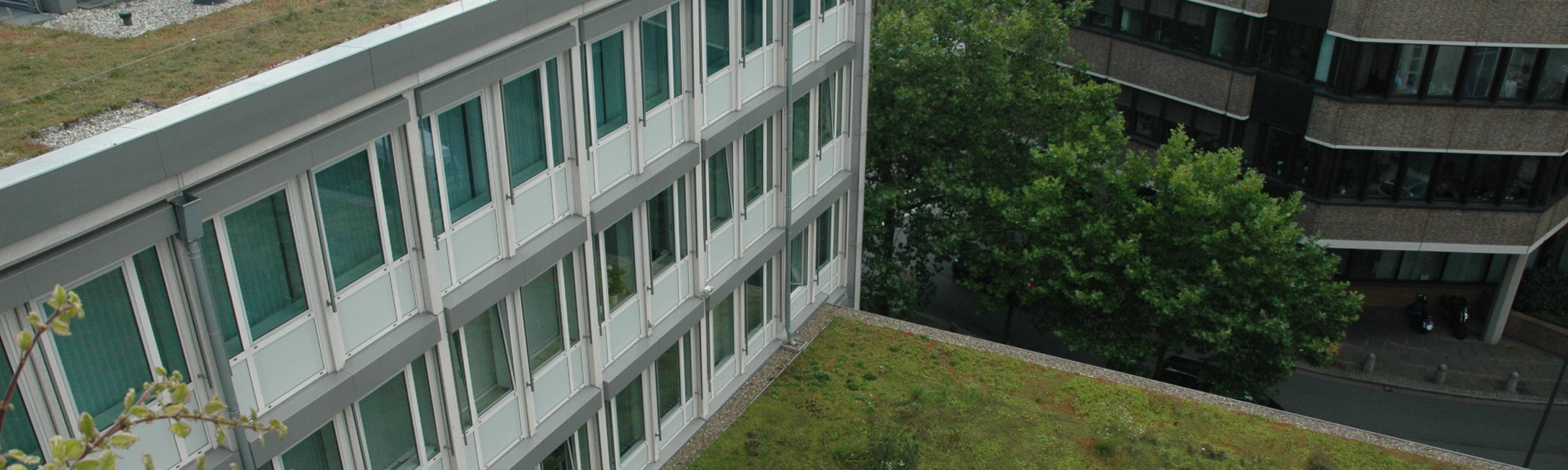 Gründach AOK Bremen Bremerhaven