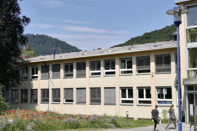 Stadt Neackargemünd